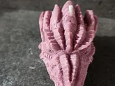 DRAGON HEAD